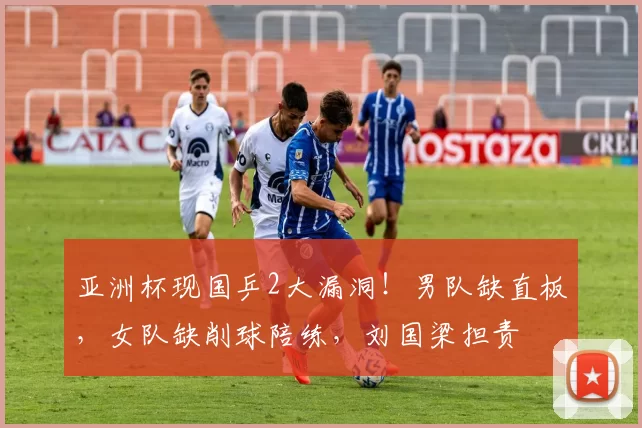 亚洲杯现国乒2大漏洞！男队缺直板，女队缺削球陪练，刘国梁担责