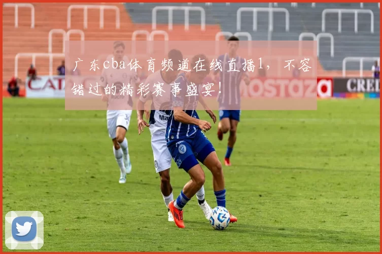 广东cba体育频道在线直播1，不容错过的精彩赛事盛宴！